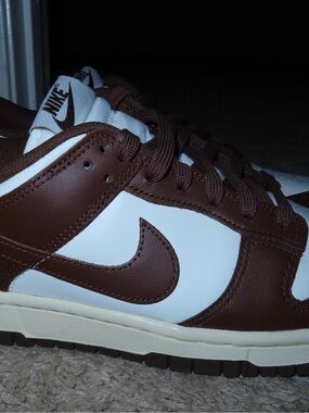 Nike dunks Brown/White